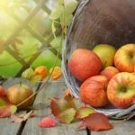 Presentato a Pescara il rapporto di Legambiente sui pesticidi che troviamo nel nostro cibo: i risultati inquietanti